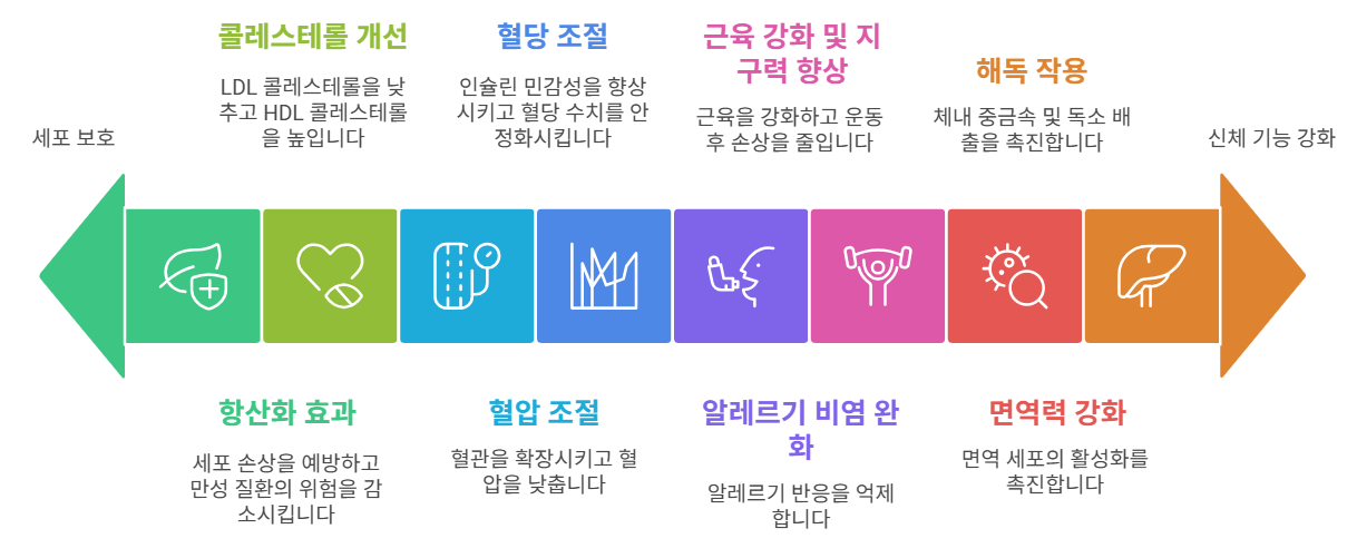 스피루리나의 효능은 세포 보호부터 신체 기능 강화까지 다양