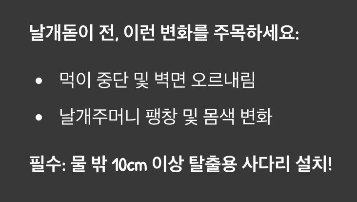 기적의 순간, 날개돋이를 위한 준비