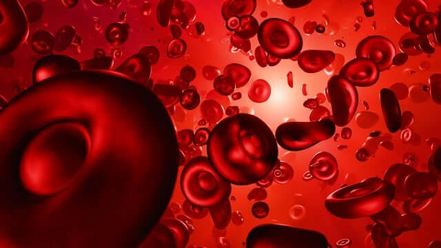로또당첨 꿈