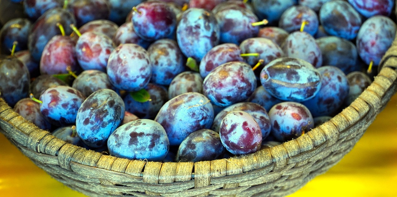 푸룬효능,푸룬먹는법,푸룬요리,푸룬주스,푸룬스무디,푸룬샐러드,푸룬식품고르는법,푸룬가루.푸룬부작용,푸룬영양소,푸룬설사,푸룬복통,푸룬고칼로리,푸룬베이킹