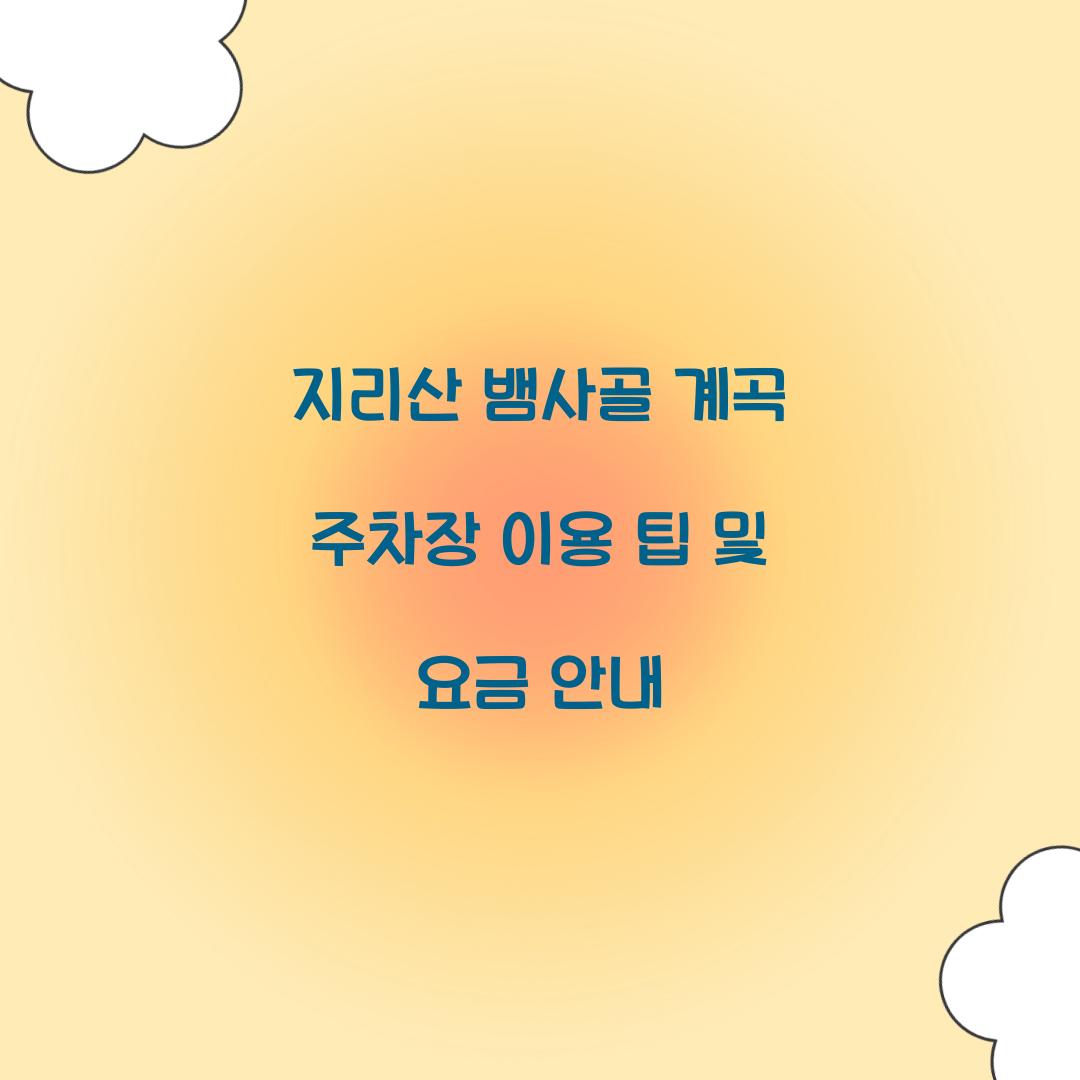 지리산 뱀사골 계곡 주차장