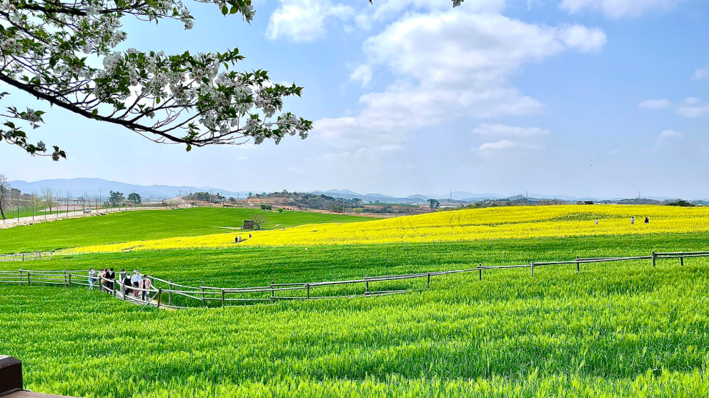 폭싹 속았수다 촬영지