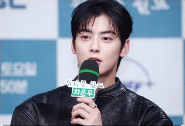 차은우프로필입대탈세