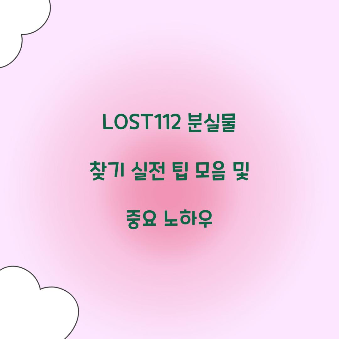 LOST112 분실물 찾기