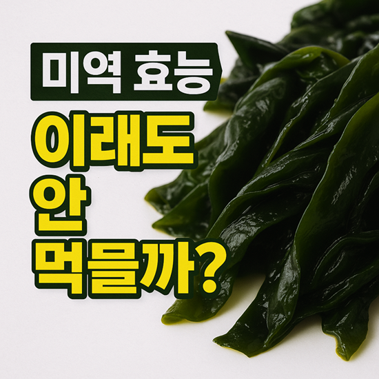 미역 효능