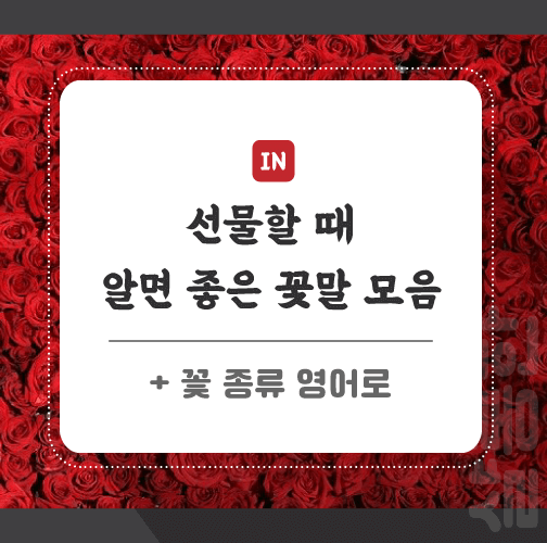 꽃말-모음-포스팅-썸네일