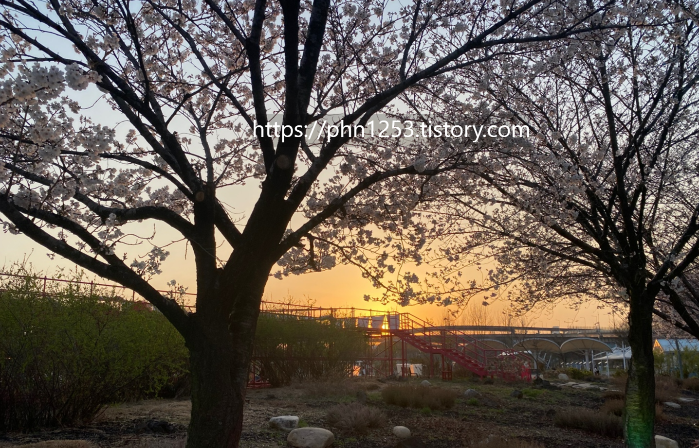 Alt 속성 문제 해결 설명 이미지