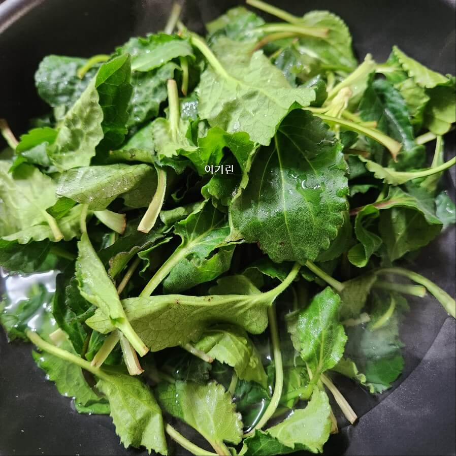 봄제철 취나물 손질 영양만점 취나물 무침 만드는 법 제철 나물