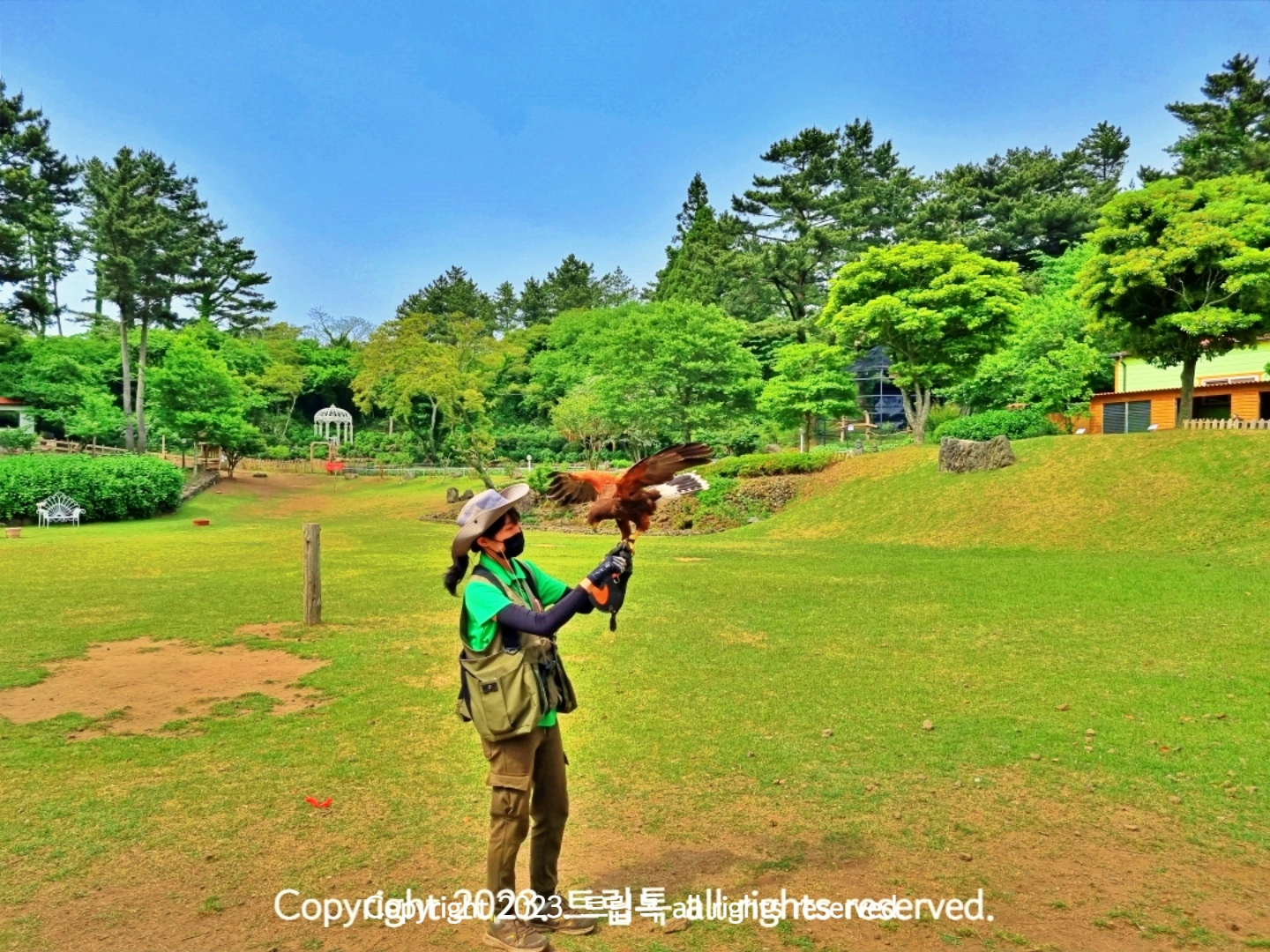 독수리가 사육사의 팔에 막 앉으려고 한다