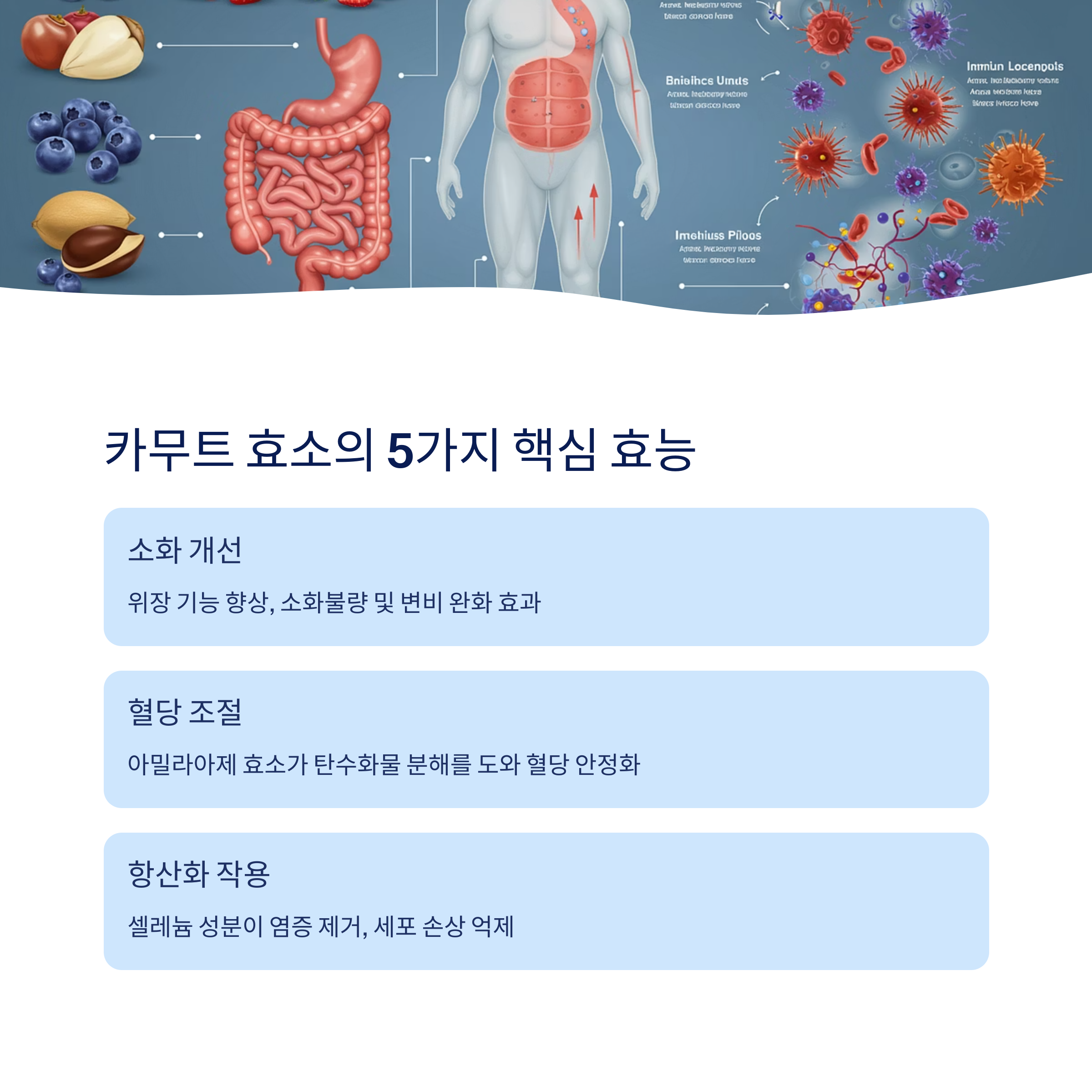 카무트 효소의 효능