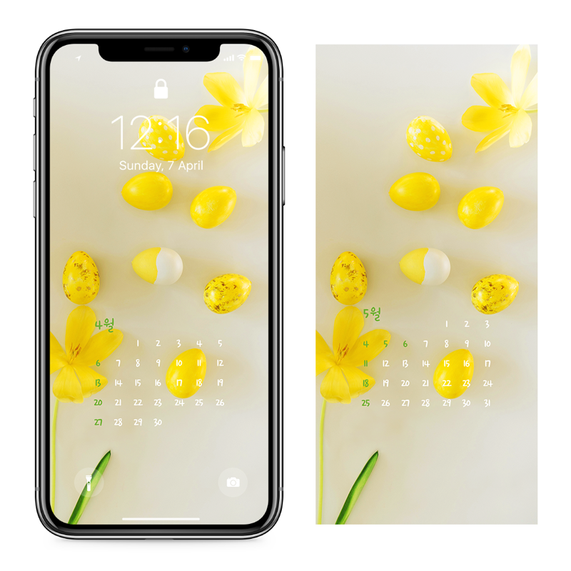 08 노란색 꽃과 계란 AB - 2025년4월 아이폰달력배경화면
