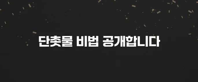 실패 없는 단촛물 황금레시피 (초밥, 샐러드 활용)