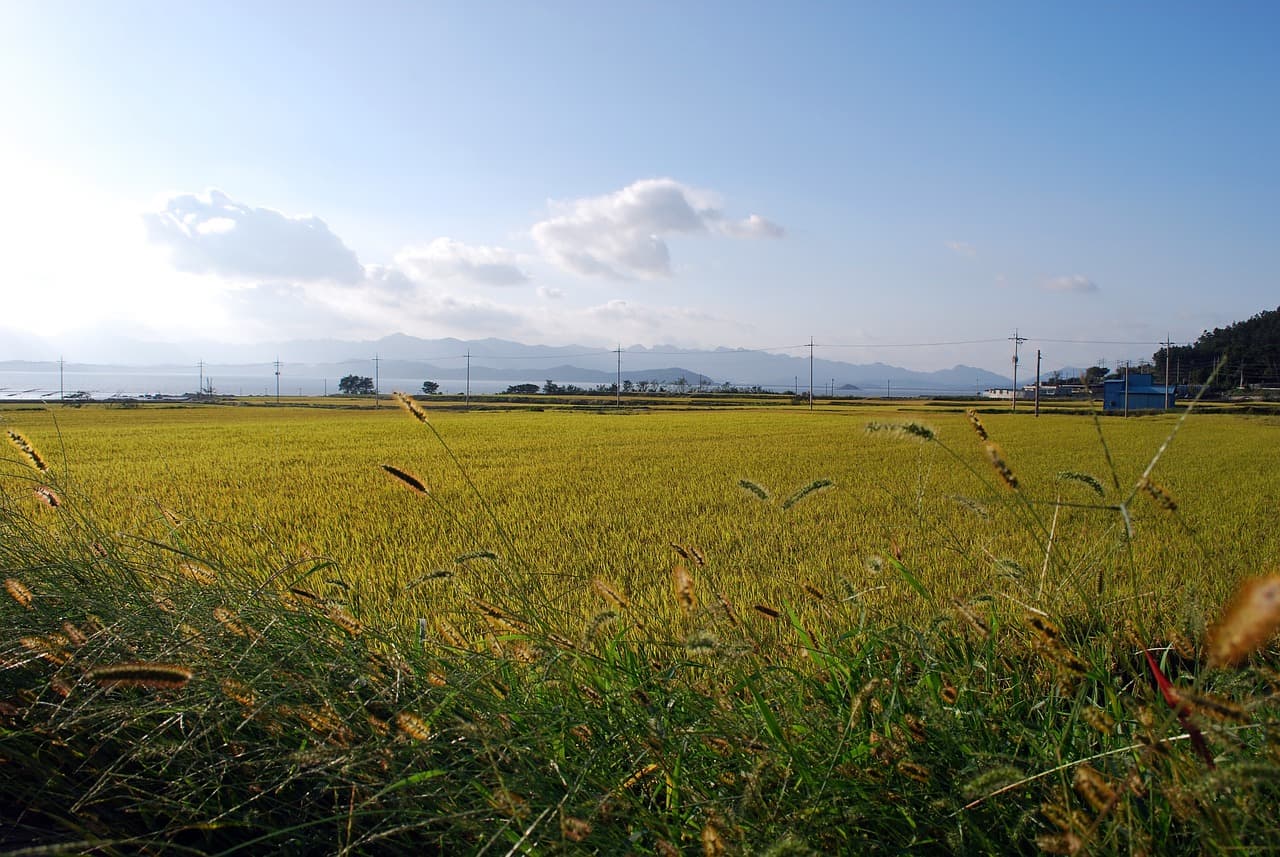 AI와 개인정보 보호, 윤리적으로 안전할까?