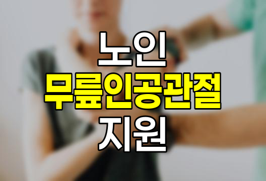 노인 무릎인공관절 수술 지원 사업 안내