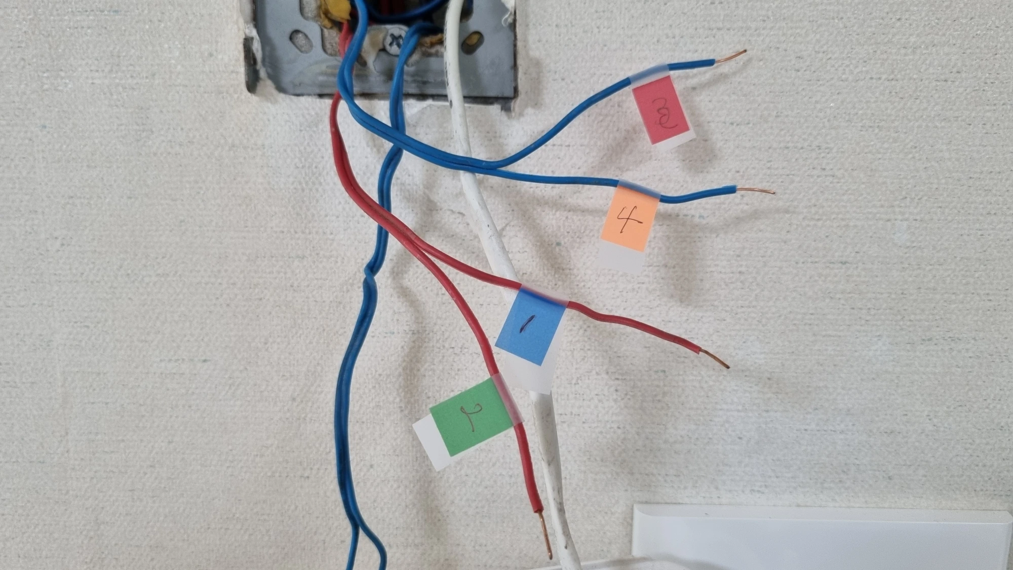 전선 구분 완료 모습
