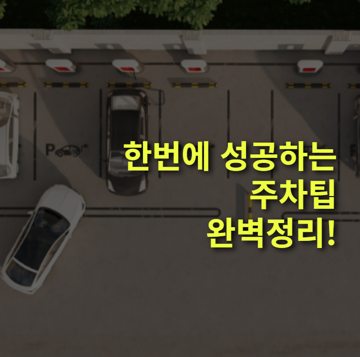 한번에 성공하는 초보 운전자 주차 TIP 총정리