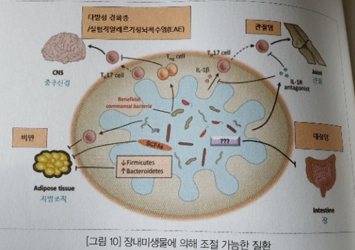다양한 유산균이 막을 수 있는 질환들