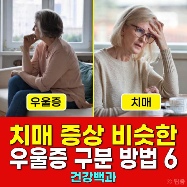 치매 우울증 차이 구분