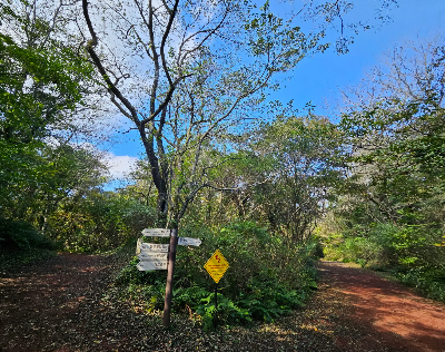 에코랜드 에코로드