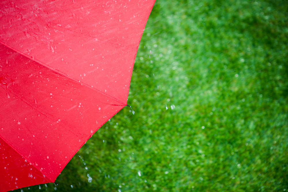 2023-장마철-기간