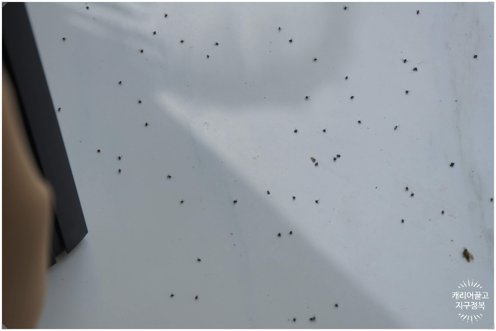 Ubud Villa Green Pearl