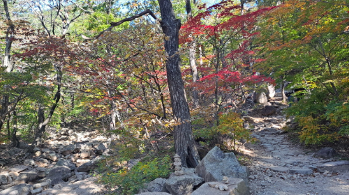 설악산_단풍여행_총정리