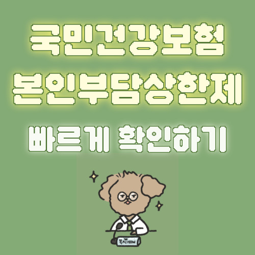 국민건강보험 본인부담상한제