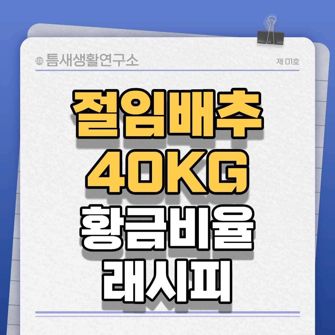 절임배추40-썸네일