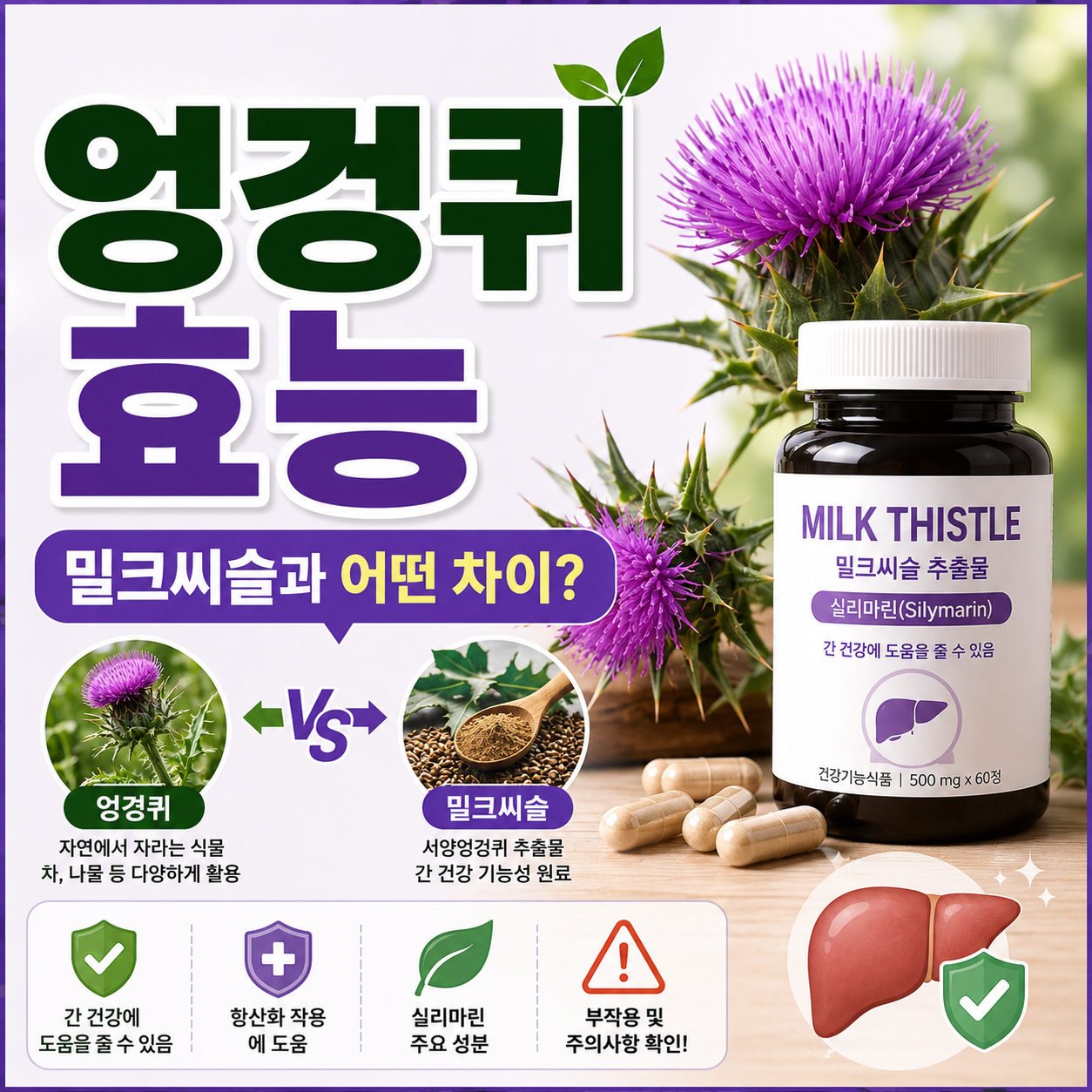엉겅퀴 효능, 밀크씨슬과 어떤 차이가 있을까