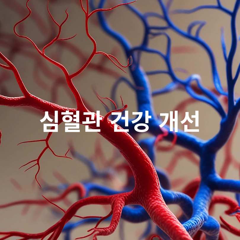 다크초콜릿 효능