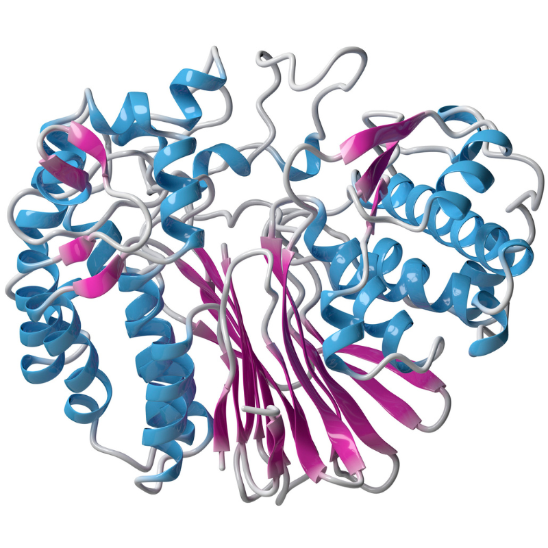 글루타치온 부작용