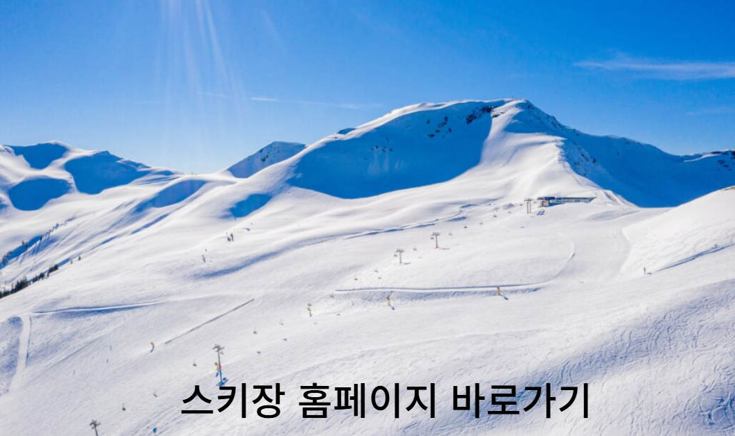 강원도 스키장 홈페이지 바로가기