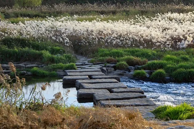 파주 가볼만한곳 베스트10 여행 코스 맛집_9