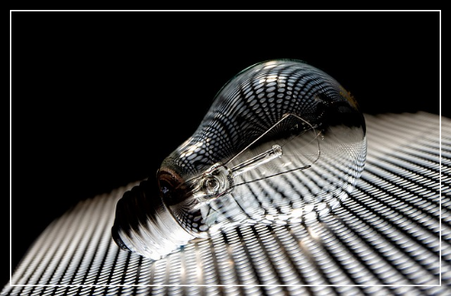 구직급여 신청방법 (2024 완벽가이드)