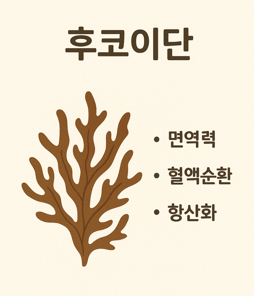 후코이단