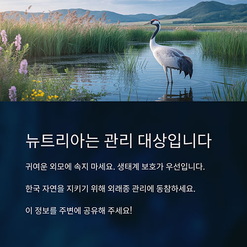 뉴트리아는 보호 대상이 아니라, 관리 대상입니다