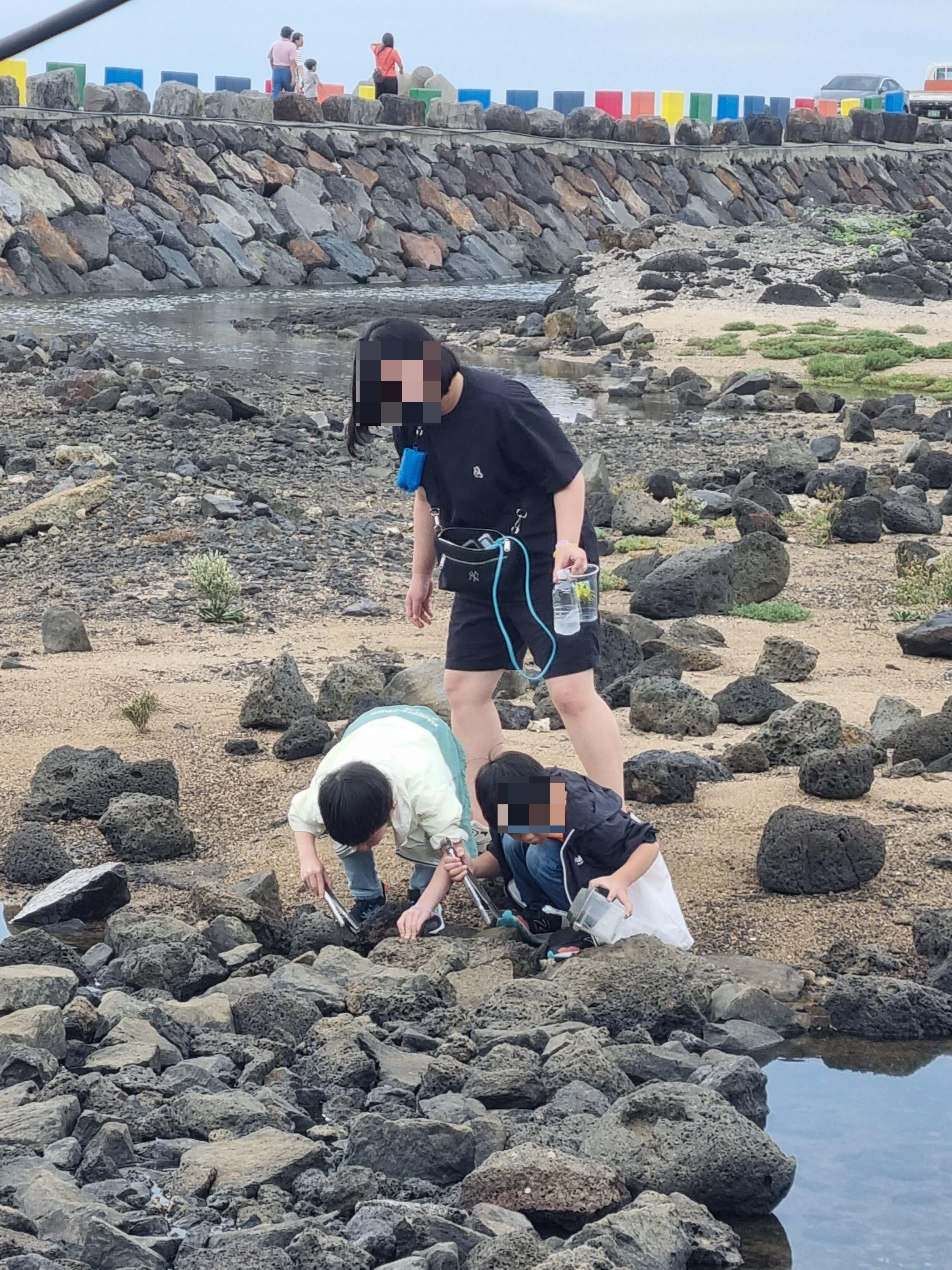 제주돌고래 힐링투어