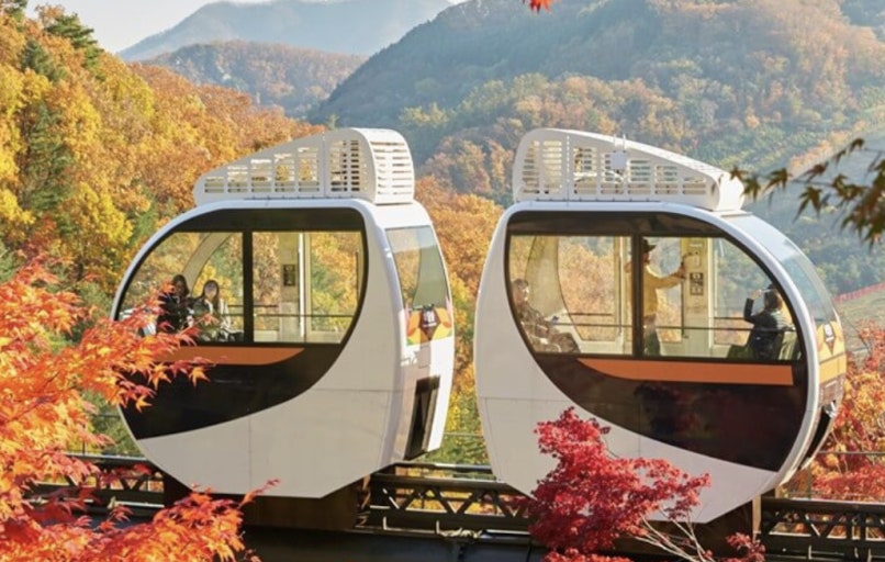 화담숲 모노레일 예약&middot;요금&middot;이용 꿀팁 총정리 관련 사진