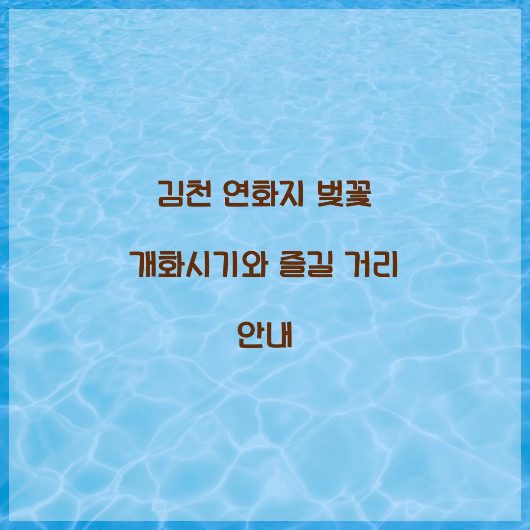 김천 연화지 벚꽃 개화시기
