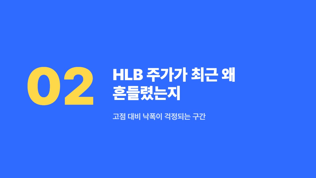 HLB 주가가 최근 왜 흔들렸는지 — 고점 대비 낙폭이 걱정되는 구간