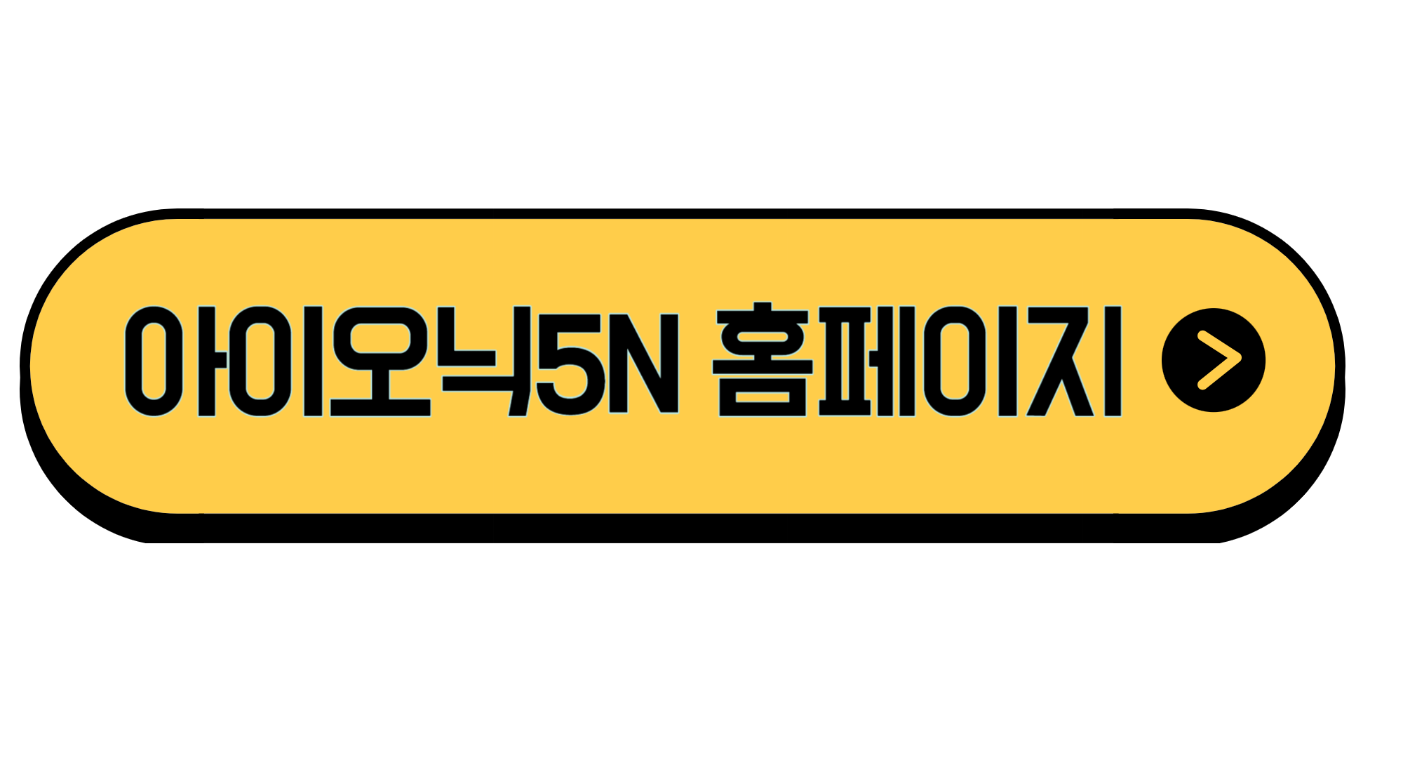 아이오닉5N 가격 출시일 제로백