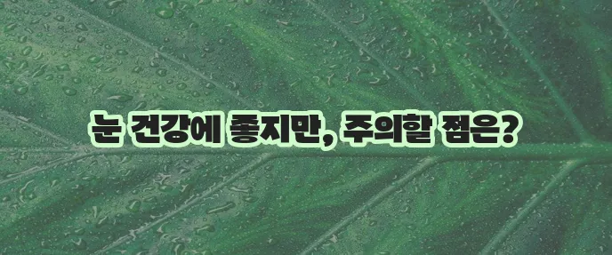 블루베리 효능과 부작용 꼼꼼히 알아봐야겠죠?