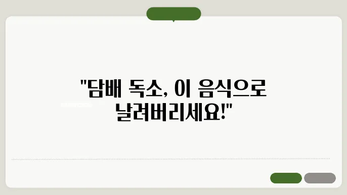 흡연자의 건강을 위한 필수 음식 : 담배 폐 독소 제거