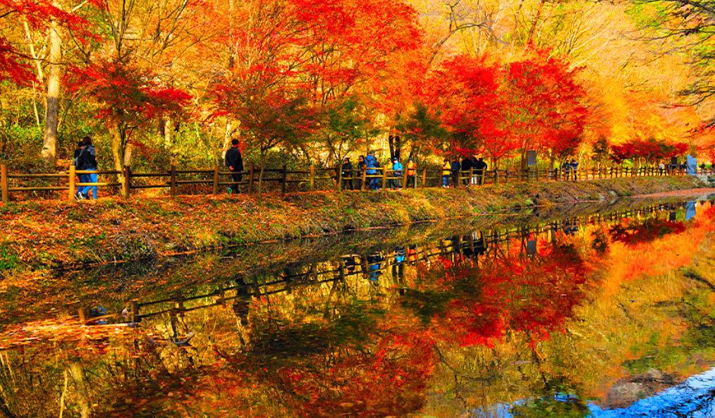 강천산군립공원 단풍