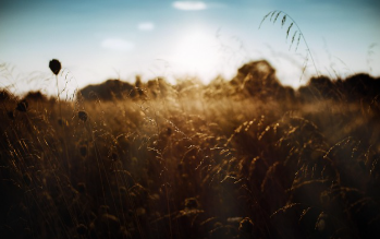 수락휴 예약 방법 쉽게 정리 8