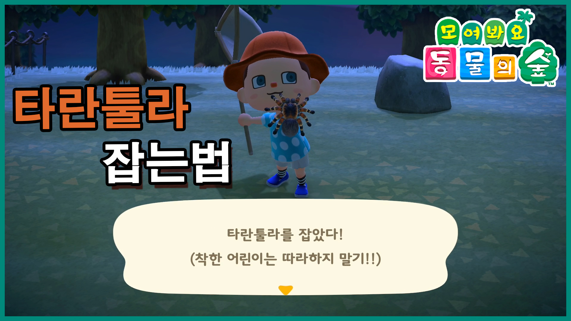 타란툴라잡는법