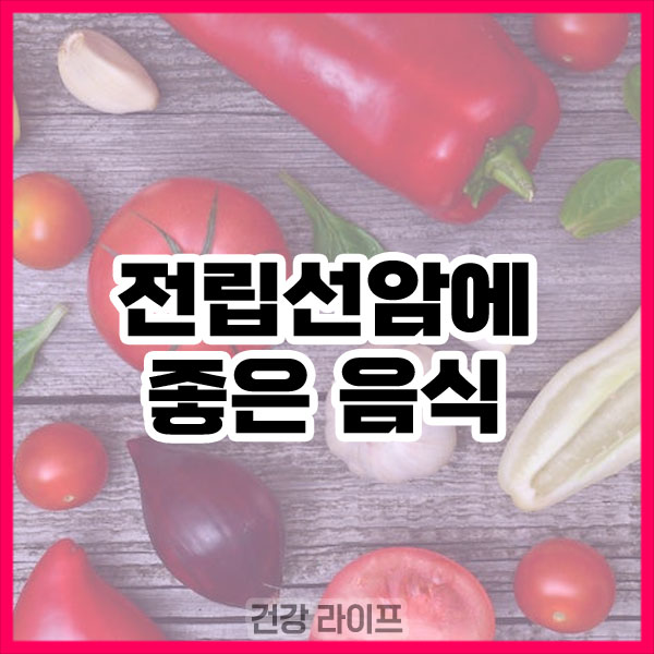 전립선암에 좋은 음식