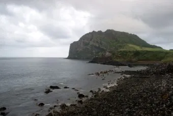 성산포항 여객터미널 우도 배시간표 배편 예약 요금_14