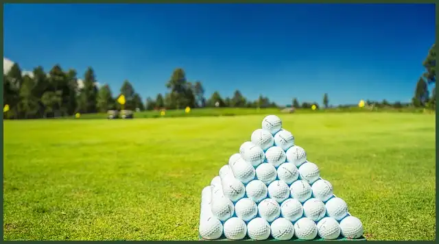 파크골프 공 4피스, 3피스, 2피스 차이점은?