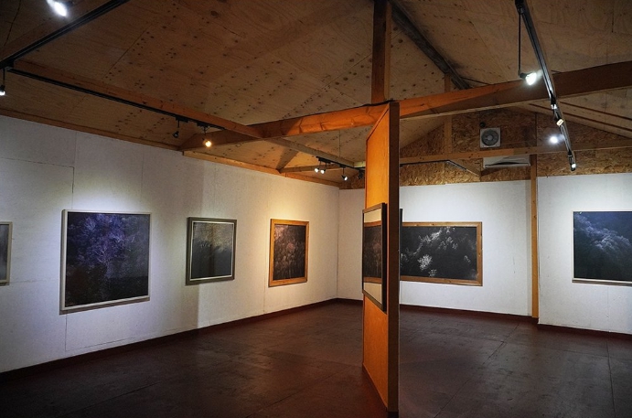 미술관-자작나무숲05